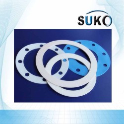 PTFE Seals